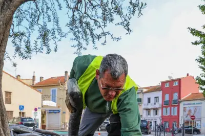 Fréjus et Saint-Raphaël : les espaces verts s'adaptent au climat