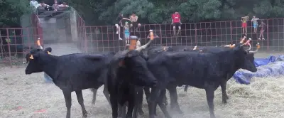 Fête de la Cité des Espagnols à Nîmes : le quartier retrouve son âme