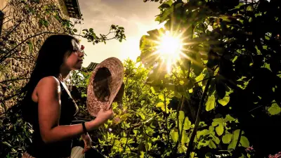 Gard en vigilance jaune canicule : jusqu'à 38,7°C mais nuits fraîches