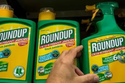 Glyphosate : la Cour suprême américaine donne raison à Bayer