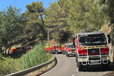 Incendie de Colomars : l'attaque massive des pompiers a sauvé les habitations