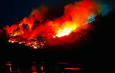 Incendie à l'Île aux Pies en Bretagne : un hectare de végétation détruit