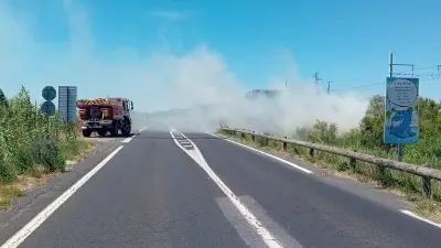 Incendies entre Sète et Portiragnes : une soixantaine de pompiers mobilisés