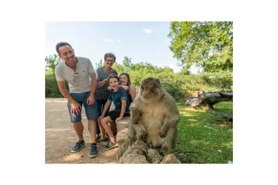 La forêt des singes : une immersion unique dans la biodiversité