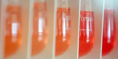 La France championne du monde du vin rosé : production en hausse
