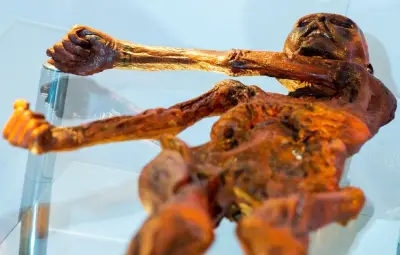 La levure d'Ötzi utilisée pour faire du pain, une bière en projet