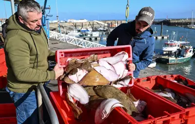 Le tribunal ordonne un plan d'action pour protéger les cétacés dans le golfe de Gascogne