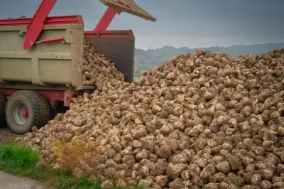 Loi Duplomb : un vote pour la malbouffe selon des députés écologistes