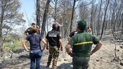 Mégafeu de l’Aude : comment l’enquête a mené à un agent de l’ONF