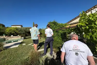 Mougins, Antibes, Cannes : la lutte contre le moustique tigre s'organise