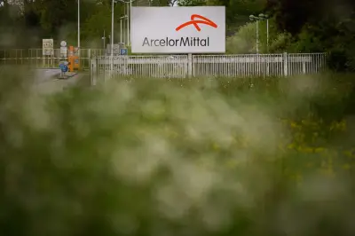 Nationalisation d'ArcelorMittal : proposition de loi de retour à l'Assemblée