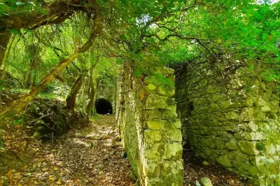 Nice : les Ferres restaurent leur sentier historique Saint-Pierre