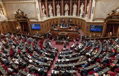 Néonicotinoïdes : le Sénat relance le débat sur leur réintroduction