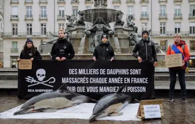 Pêche interdite dans le Golfe de Gascogne pour 2027 : un mois de fermeture pour protéger les dauphins