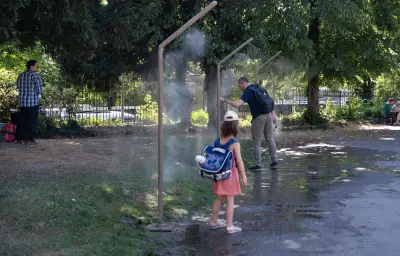 Pic de chaleur, vague ou canicule : les différences expliquées