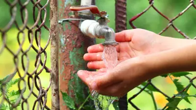 Pollution de l'eau potable : des médecins alertent sur une menace systémique