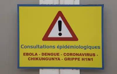 Premier cas d'Ebola identifié en France chez un médecin de retour de RDC