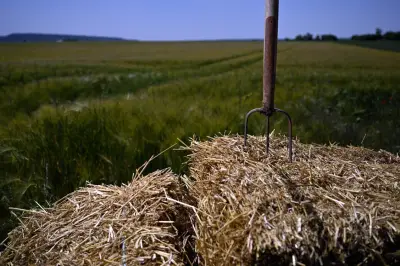 Projet de loi agricole : eau, pesticides, loups, les mesures clés