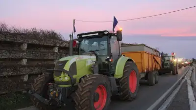 Projet de loi agricole : pesticides, eau, loups, ce qui pourrait changer