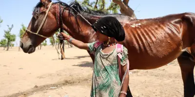 Près de la moitié des enfants dans le monde exposés à au moins trois aléas climatiques, alerte l'Unicef