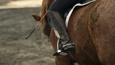 Équitation tragique : une cavalière de 25 ans meurt après une chute de cheval