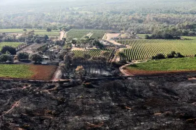 Reboisement de 15 hectares au Luc après l'incendie de Gonfaron en 2021