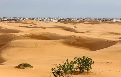 Record de chaleur en France : 38,2°C mardi, 0,8% du globe plus chaud