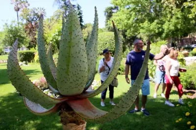 Rendez-vous aux jardins à Fréjus : visites gratuites sur le thème de la vue