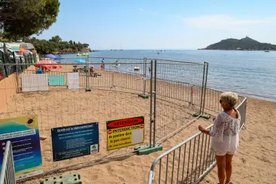 Saison de ponte des tortues caouannes : vigilance accrue dans le Var