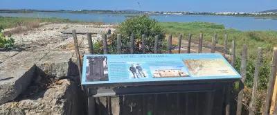 Salins de Frontignan : un parcours muséographique en plein air pour redécouvrir le site