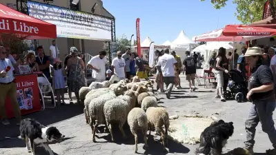 Salon des agricultures méditerranéennes : une 3e édition pour échanger et découvrir