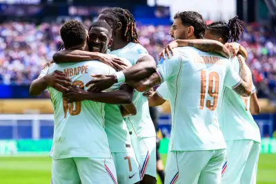 Sans-faute des Bleus : voit-on la France trop belle ?