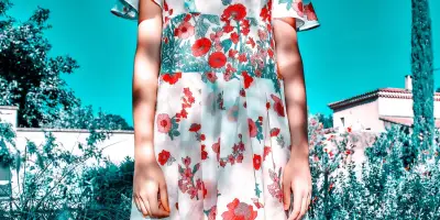 Théorie de la petite robe d'été : mythe ou réalité vestimentaire ?