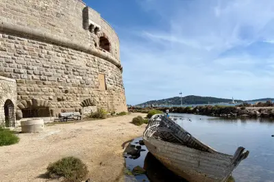 Toulon : une cani-plage expérimentale au pied de la Tour Royale