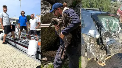 Traversée de l'Atlantique à la rame, gypaètes, collision : actu région