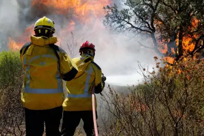 Var : accès réglementé aux massifs forestiers pour prévenir les feux dès le 8 juin