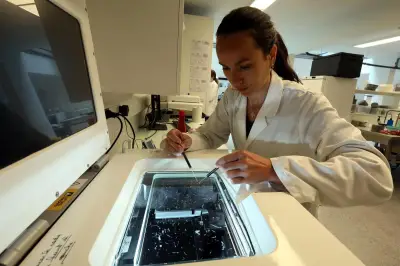 À Villefranche-sur-Mer, les chercheurs décryptent le rôle du plancton dans la régulation climatique