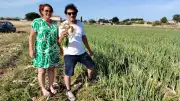 11e Foire à l’oignon doux de Lézignan-la-Cèbe le 4 juillet