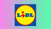 5 offres jardin Lidl à moins de 30 € pour l'été