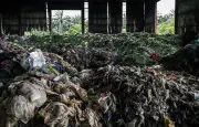550.000 tonnes de plastique par an : vraie info ou intox ?