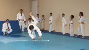 81 judokas récompensés lors d'une cérémonie de grades à Teyran