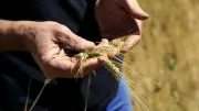 Agriculture bas carbone : la Conf' et le Shift Project en débat à Rodez