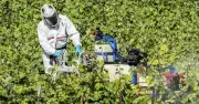 Alimentation : comment distinguer danger réel et peur infondée ?