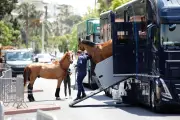 Anthony Dagon, bénévole passionné au Jumping de Cannes