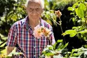 Antibes 1971 : l'horrible orage de grêle raconté par un horticulteur