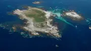Apnéiste de 30 ans retrouvé mort aux Glénan : chasse sous-marine fatale