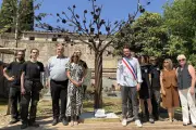 Arbre du souvenir en acier au cimetière de La Seyne par des lycéens