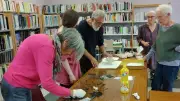 Atelier de généalogie à la bibliothèque de Mons le 1er juillet