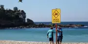 Australie : débat sur l'abattage des requins après quatre morts