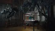 Aux enchères à Paris, le sac en cuir de T-Rex reste invendu